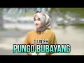 Download Lagu DJ ACEH PUNGO BUBAYANG FULL BASS