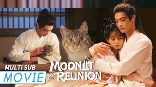 Cat Demon Princess Turns Into a Kitten to Get Close to a Gorgeous Man!😏 | Moonlit Reunion 子夜归