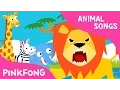 Download Lagu Hakuna matata | Animal Songs | PINKFONG Songs for Children