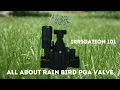 All About Rain Bird PGA Irrigation Valves sprinkler system valve