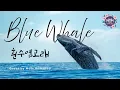 Download Lagu 💙 Blue Whale (흰수염고래) | YB (Jeong Eun Ji Version) Cover @MomUnmuted 