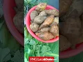 PNG LOCAL STYLE|| KARAMAP||#cooking #local #foodie #food