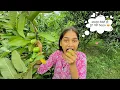 Download Lagu Sona गईं बाग में अमरूद तोड़ने 😍 Amit Sona Vlogs 