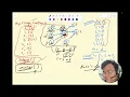 Leetcode 2050 Parallel Courses III
