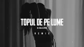 Florin Cercel - Topul de pe lume (Dj Kala Afro Remix)