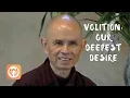 Lagu Wil: ons diepste verlangen | Thich Nhat Hanh (korte instructievideo)