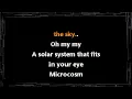 Red Hot Chili Peppers • Parallel Universe (CC Karaoke / Instrumental)