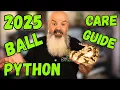 How To Care For a Ball Python