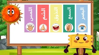 المرح بلا حدود مع قصة الحواس الخمس بوبي يعلم شمس من خلال القصص باللغة العربية 