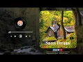 Download Lagu Sweet Dream - Jang Nara | Fingerstyle Guitar Cover | Tiarsha Jean