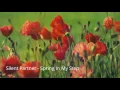 Silent Partner - Spring In My Step | Pooper's Music Channel