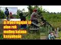 Download Lagu bobodora sunda-si Irfan ngajak si olon rek maling kalapa kanyahoan