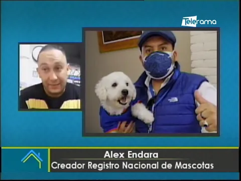 Petdulación: Cómo sacar la cédula para tu mascota en Ecuador