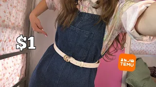 TEMU Belts Haul TEMU Review