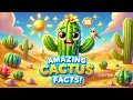 What is a Cactus Fun Facts for Kids Educational for Children