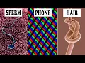 15 Amazing Objects Under a Microscope