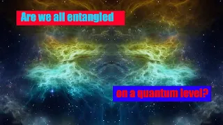 We flew to California to look at two live aboard boats… Are we all connected on a quantum level?