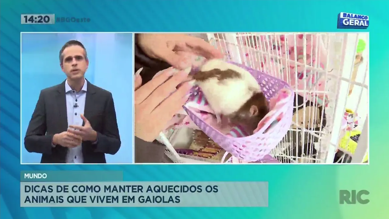 Balanço Geral Oeste Ao Vivo | Assista à íntegra de hoje 28/07/2021