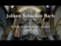 Download Lagu Schafe können sicher weiden - Sheep may safely graze - J.S. Bach - EVAN BOGERD