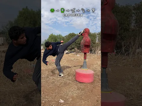 FIGHT EVOLUTION: 5 MARTIAL ARTS !!