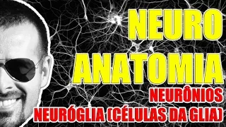 Neurônios e Células da Glia - Sistema Nervoso - Neuroanatomia - VideoAula 082