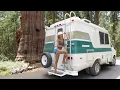 Alone in the Land of Giants The Reality About Sequoia Van Life Camping