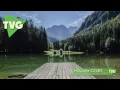Hollow Coves - The Woods (Ghosts Remix)