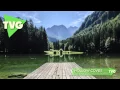 Download Lagu Hollow Coves - The Woods (Ghosts Remix)