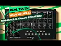 MOOG MOTHER-32 Review The ULTIMATE Starter Semi-Modular Synth Sound Demos Patch Ideas