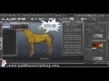 2015 Scripting ShowReel