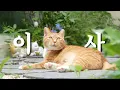 Download Lagu 저희... 이사 갑니다