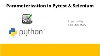 Parameterisation using Pytest Python and Selenium Read data from excel and pass it to test case