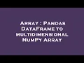 Array Pandas DataFrame to multidimensional NumPy Array