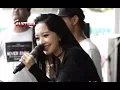 Download Lagu THE BEST LAGU LAGU MELO RENA KDI - new PANTURA
