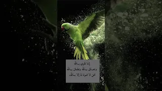 حسبنا الله ونعم الوكيل دعاء جميل للشيخ خالد الجليل  حسبنا الله ونعم الوكيل دعاء جميل للشيخ خالد الجليل