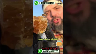 النحلة تشرب عسل الكراكوان الجبلي عسل نحل شرب العسل اوروبا المانيا تركيا غذائيات المونة 