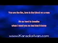 Download Lagu Blood On A Rose KARAOKE PPM