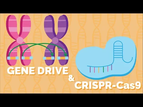 Engenharia de População | Gene Drive por CRISPR-CAS9
