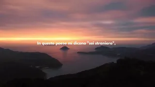                     دندنها