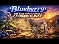 Blueberry The Line That Changed Cannabis Flavor