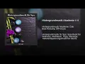 Hintergrundmusik Akademie # 4