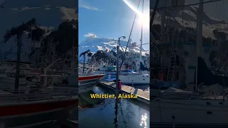 provisioning our boat for 6 weeks of Alaskan winter/spring sailing! #alaska #sailinglife #sailing