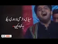 Adeel Sanwal Saraiki Song   o kith hin jain te manr   adeel sanwal saraiki TikTo