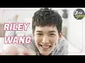 Download Lagu All About RILEY WANG |  Top 7 Interesting Facts about Riley Wang 王以綸