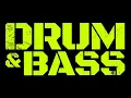 Roni Size - Brown Paper Bag (Roni Size Full Vocal Remix)