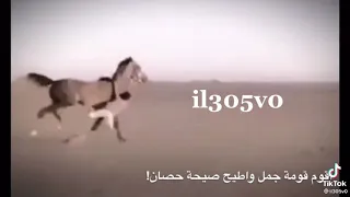 اقوم قومه جمل  اقوم قومه جمل