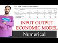 input output economic model numerical