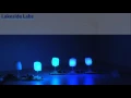 Firefly Algorithm Demonstration