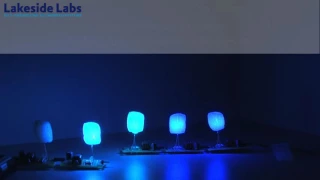 Firefly Algorithm Demonstration