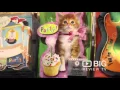 Build a Birt ay a Party Supply Store in Wellington offering Party Stuff